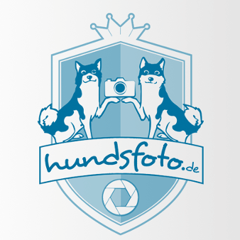 hundsfoto Logo Design Fotograf Hunde