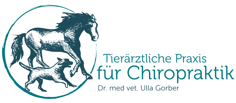 Tierarzt Logo Pferde