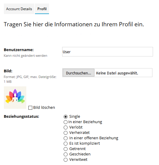 Welche partnervermittlungen gibt es