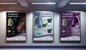 Plakat Design erstellen Ambery