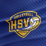 856116_Logo-Design für Volleyballsportverein_Stoff