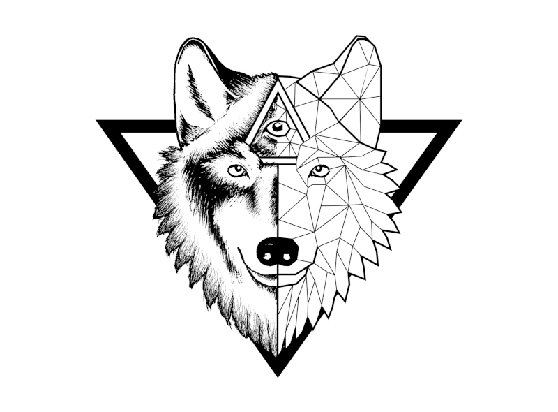 Wolf Logo Wolfskopf Illustration