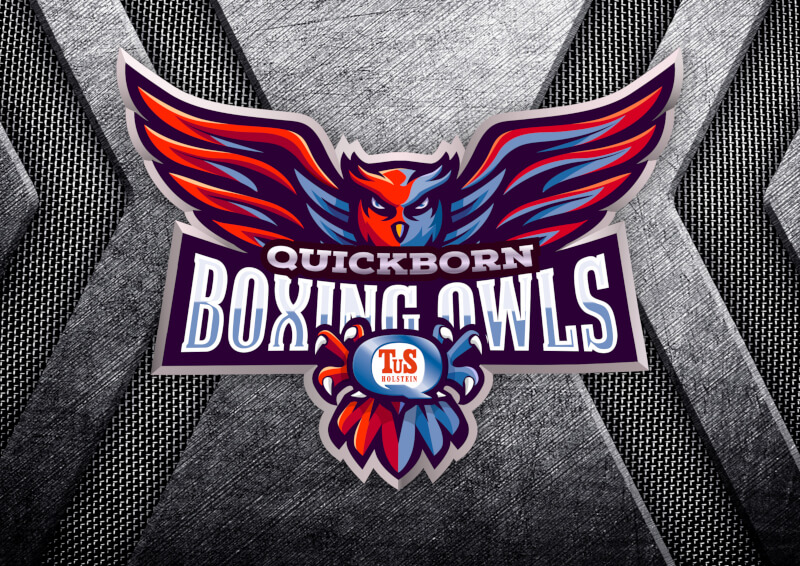 Boxing Owls Logo