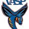 VASP
