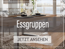 Webbanner / Banner für Startseite vom Möbel Onlineshop Pharao24.de
