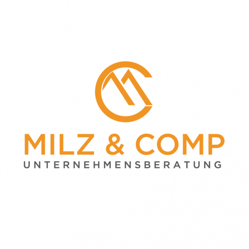 Logo-Design für Unternehmensberatung