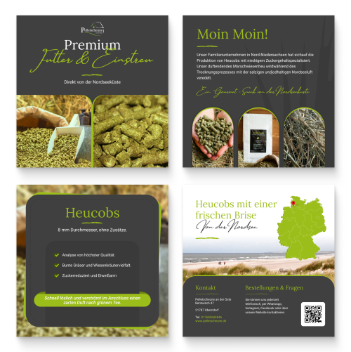 Flyer für Produzent von Pferdefutter und Einstreu