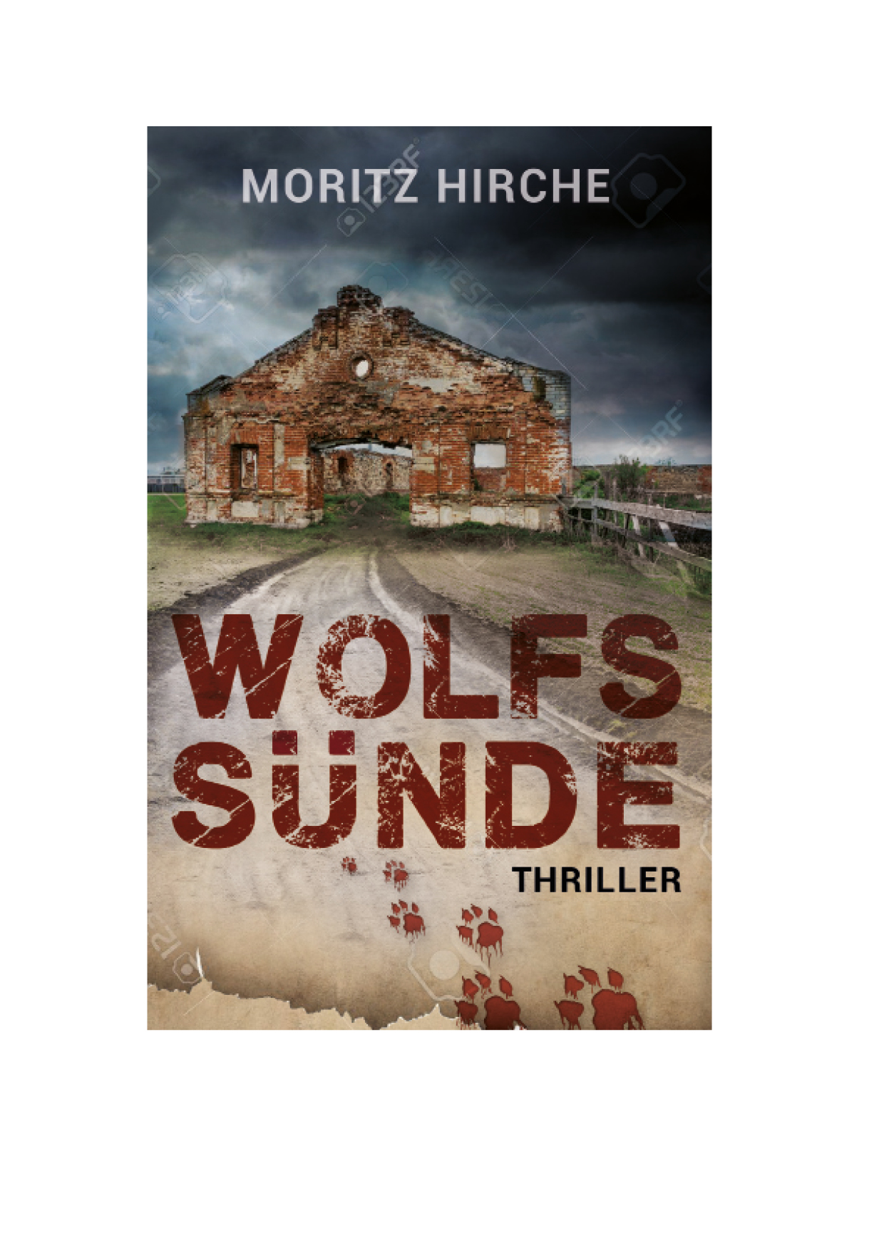 E-Book-Cover für zweiten Teil einer Thriller-Reihe