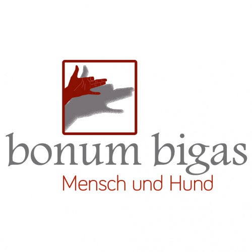 Logo-Design für Hundetraining