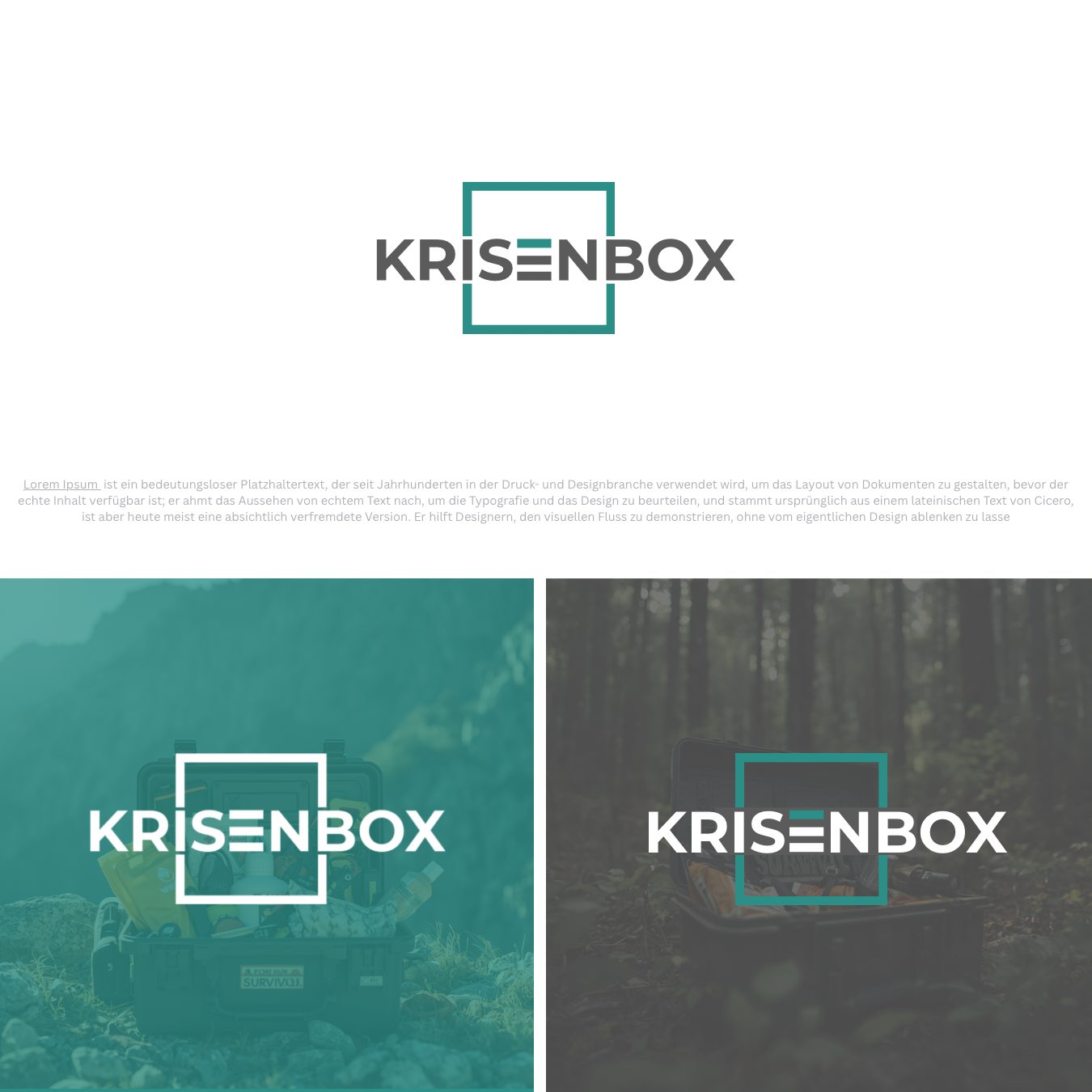 Logo für Entwickler von modernen und alltagstauglichen Vorsorgeboxen für Schweizer Haushalte von idfreiburg, Design 105