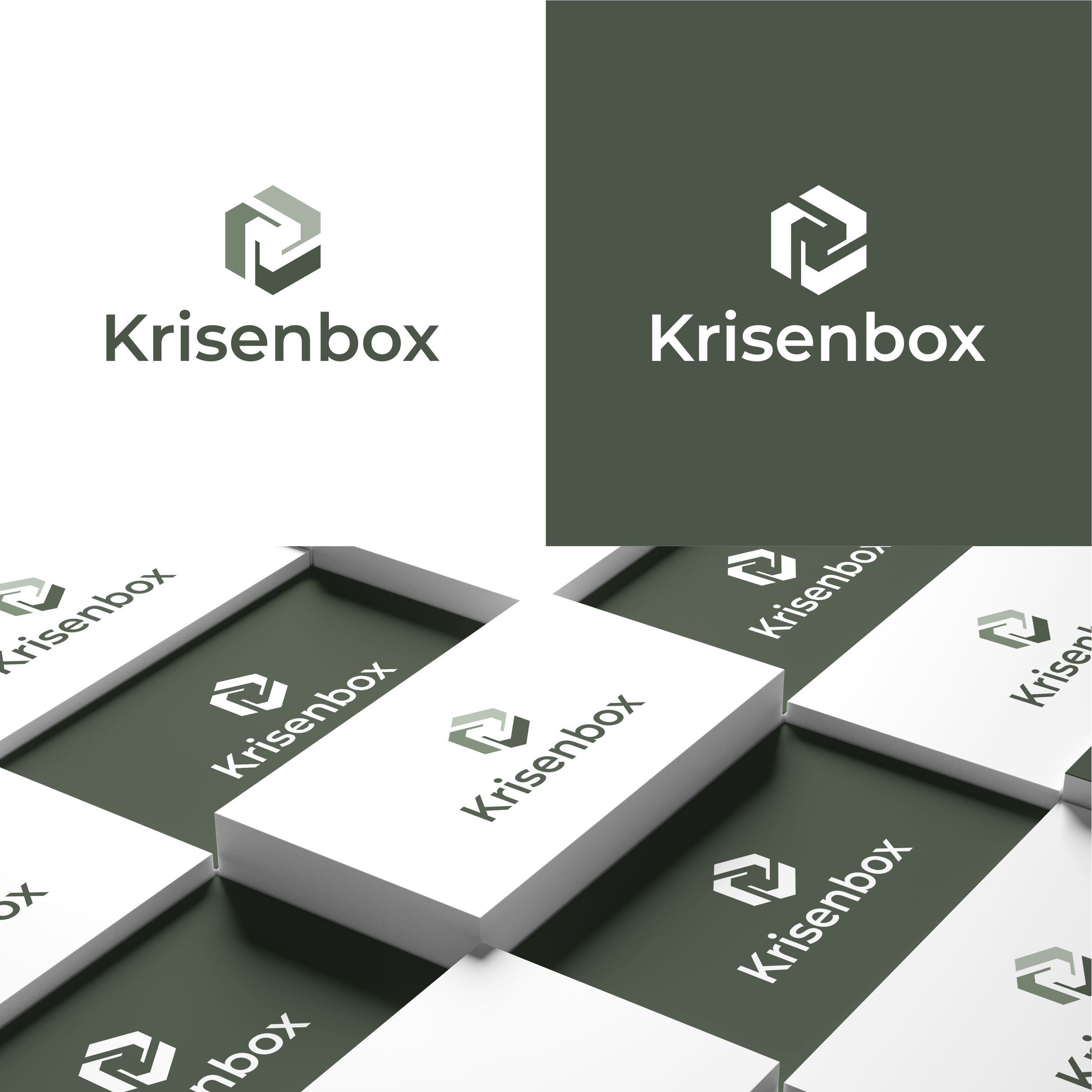 Logo für Entwickler von modernen und alltagstauglichen Vorsorgeboxen für Schweizer Haushalte von halona, Design 232