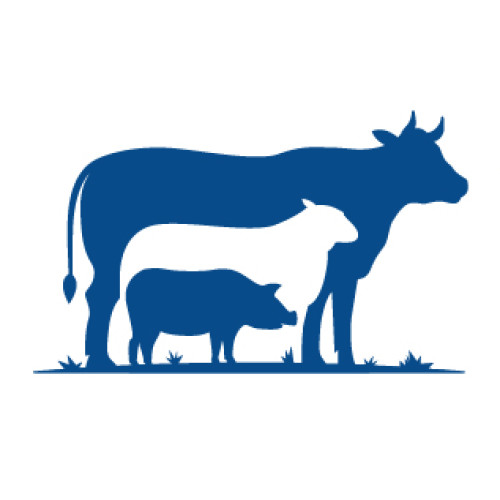 Corporate Design für Futtermittel-Vertrieb