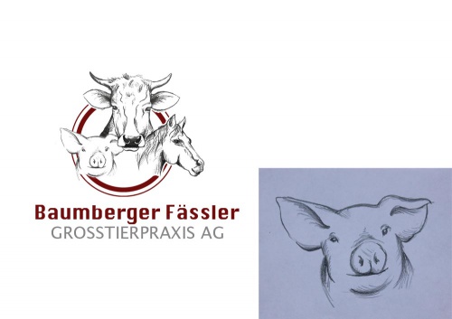 Grosstierärzte (Rinder, Pferde, Schafe, Ziegen, Schweine) suchen Logo