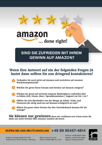 Flyer-Design für Unternehmen, das Maßnahmen bezüglich Verkäufe über Amazon anbietet