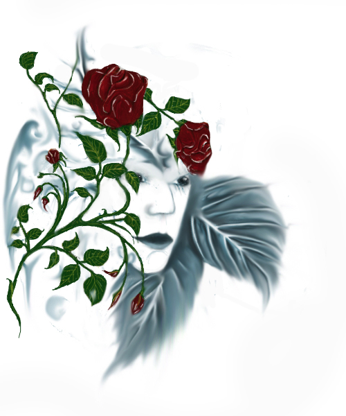 Illustration gesucht