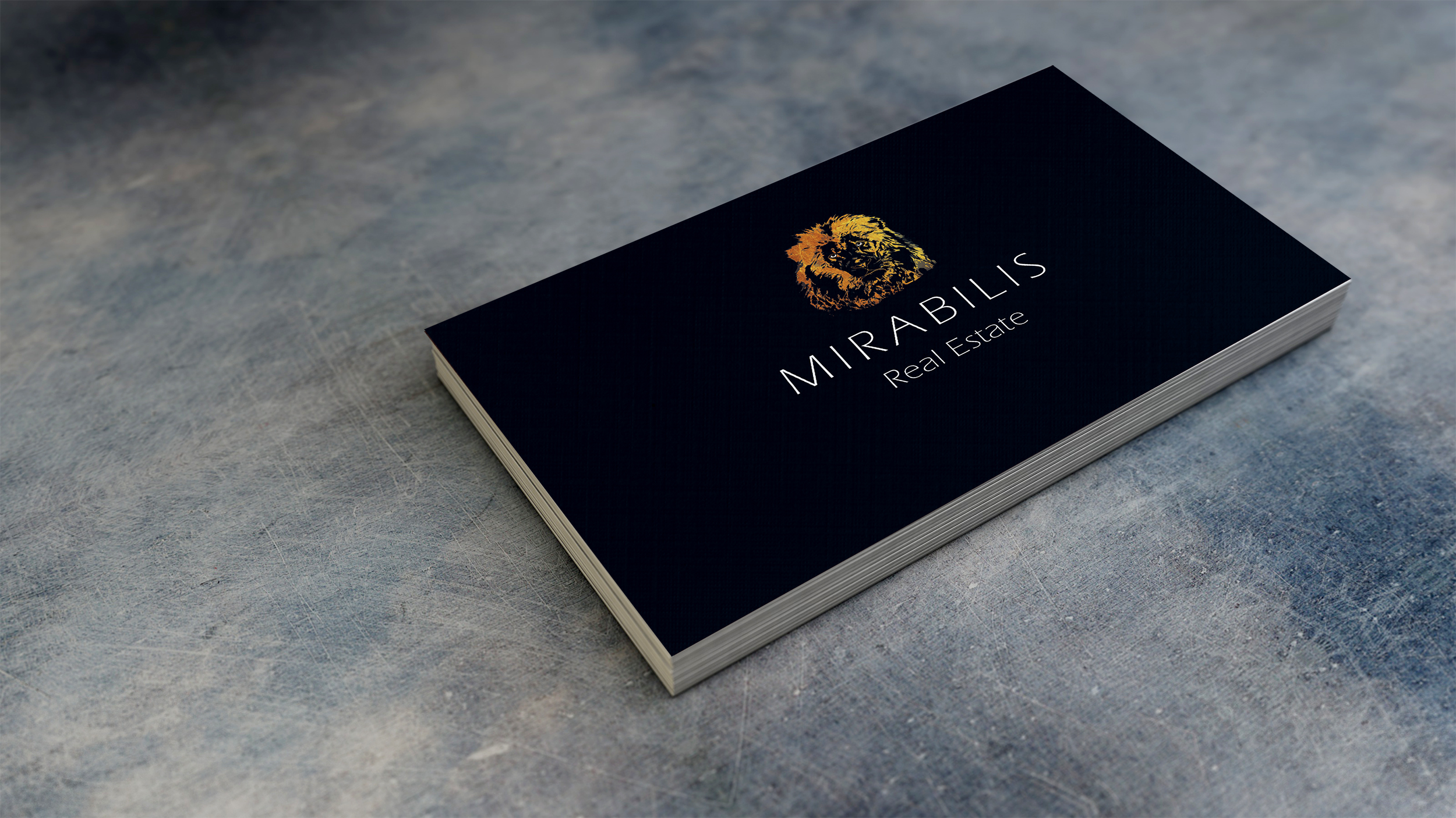 Luxusimmobilienvertrieb sucht Logo- und Visitenkartendesign