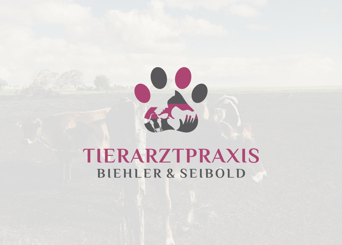 Tierarztpraxis für Nutztiere sucht hochwertiges modernes Design