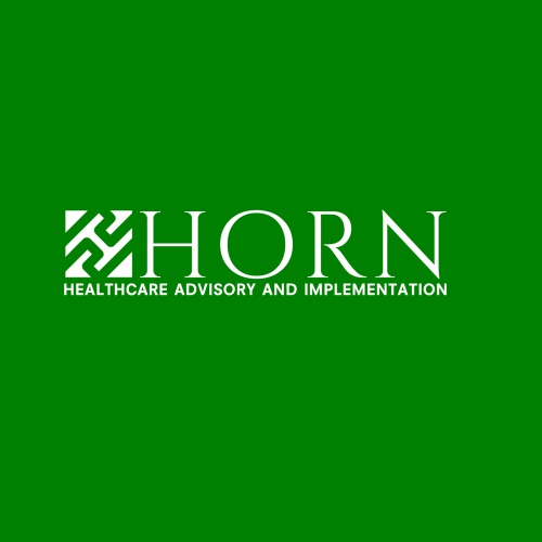 Logo & Visitenkarte für Carsten Horn Advisory