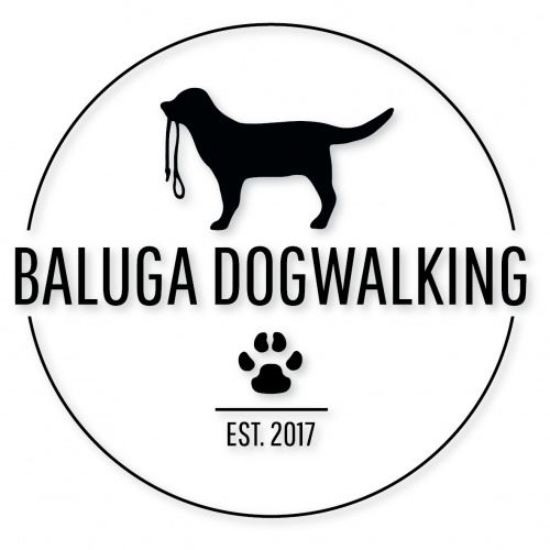  Logo für Gassiservice; Baluga Dogwalking