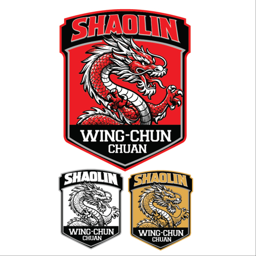 Logo & Social Media Paket für einen Kampfkunst-Verein