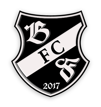 Logo-Design für Fußballverein