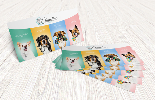 Onlineshop mit Hunde-Produkten sucht Flyer-Design