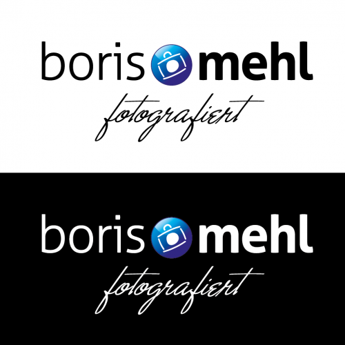  borismehl.de braucht ein Logo