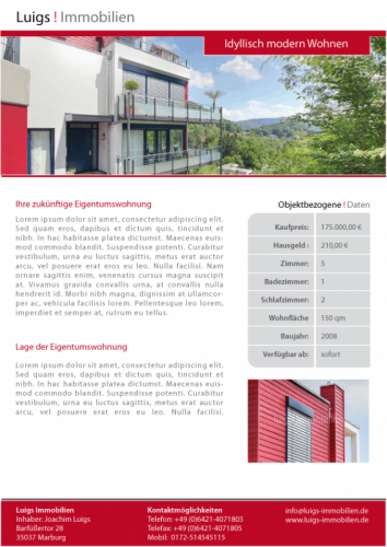 Moderne CI für einen Immobilienmakler [www.luigs-immobilien.de]