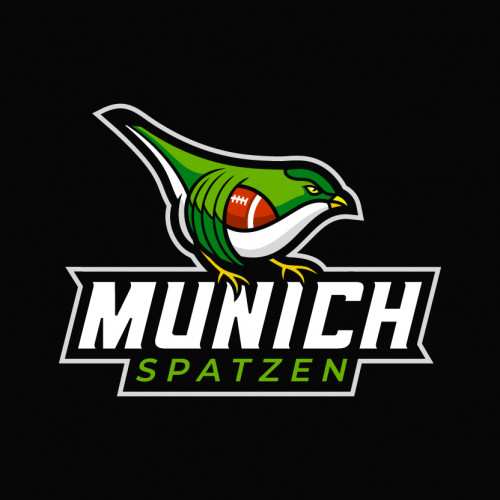  Logo-Design für Sportverein